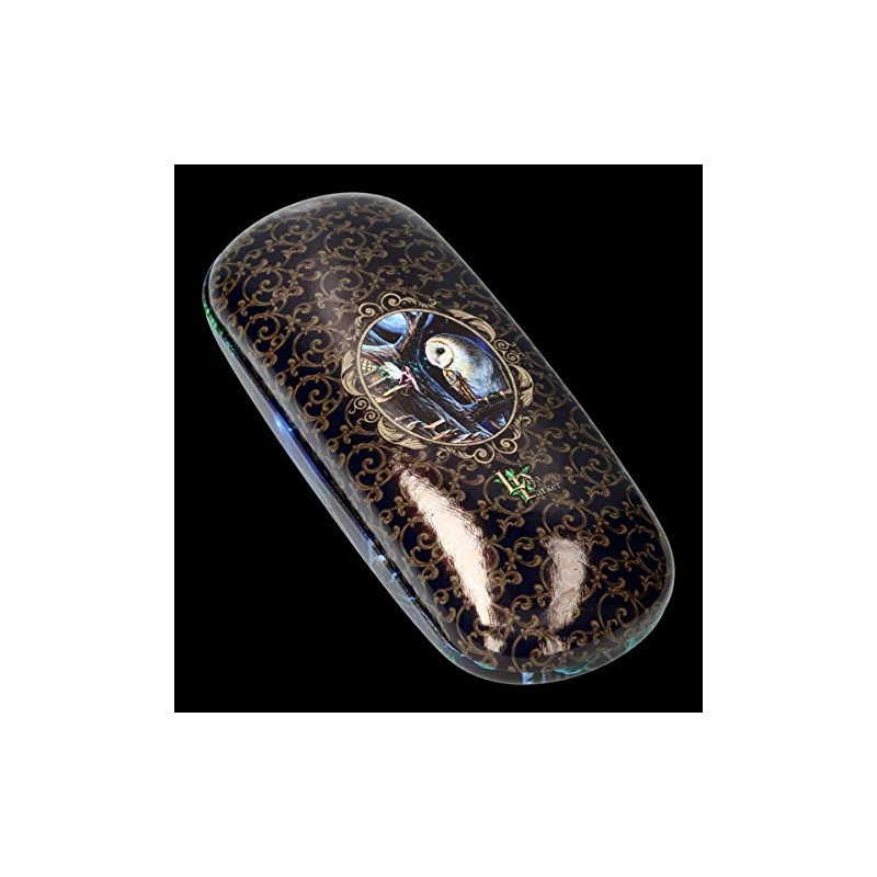 Lisa Parker Fantasy Glasses Case with Owl Fairy Tales Hard