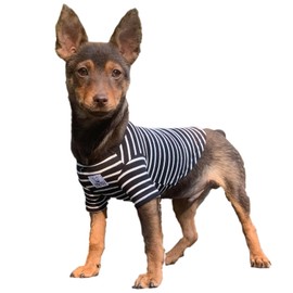 YQYS Pet Dog T-Shirts Thick Striped Cotton Tee Shirt for Small Dogs and Cats Puppy Clothes Dog Apparel Teacup Dog Clothing for Chihuahua Yorkie Poodle Black White Small