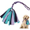 Juguete de tirón para perros (morado)