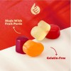 iLike! Tropical Fruit Jelly Candy Mix 1-Pound Bag | Vegan