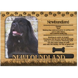Newfoundland Engraved Wood Picture Frame Magnet