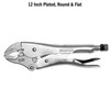 Teng Tools 12 Inch Plated, Round & Flat Power Grip