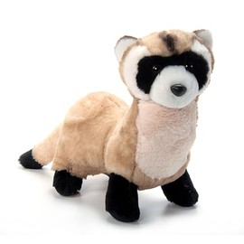 The Petting Zoo Black-Footed Ferret Stuffed Animal Plushie, Gifts for Kids, Wild Onez Animals, Ferret Plush Toy, 12 inches
