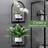 Vexercisehoop 2 Pack Wall Planter for Indoor Plants, Metal Framed