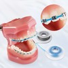 Annhua Dental Orthodontic Elastic Chain, Orthodontic Spool Elastic Dental Spool