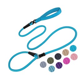 Slip Lead Dog Leash(6ft)，Strong Nylon Rope Leash Anti-Choking Anti-Pull and Outdoor Walking Training Lead for Small Medium Large Dogs (Blue, 1/2"×6ft)