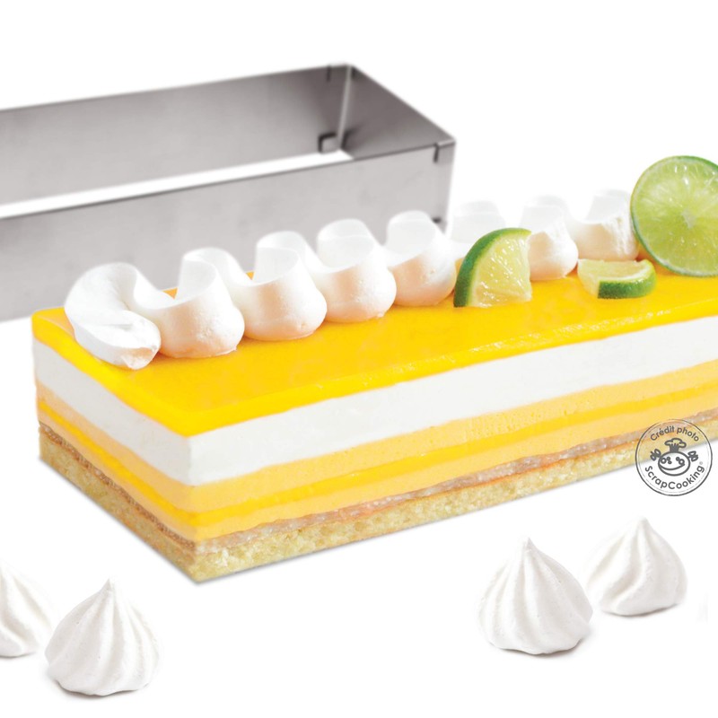 ScrapCooking 1916 Stainless Steel Rectangular Baking Tin Extendable from 25
