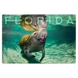 Lantern Press 6x9 Inch Wood Sign, Ready to Hang Wall Decor, Florida, Manatee, Photography