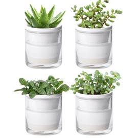 D'vine Dev 4 Inch Design Self Watering Planter for Indoor Plants, White Terracotta Pots with Cylinder Glass Cup, Set of 4, 373-A-4