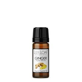 Lily & Loaf Ginger Organic Essential Oil (Zingiber officinale) - 100% Pure & Natural - 10ml