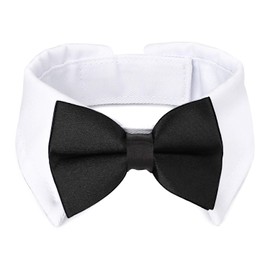 Segarty Black Bow Tie Dog Collar for Neck Girths 10.2-12.6 in, Tux Bowtie with Handcrafted Adjustable White Collar Formal Pet Cats Puppies Necktie for Wedding Birthday Party