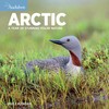 Audubon Arctic Wall Calendar 2023: A Year of Stunning Polar
