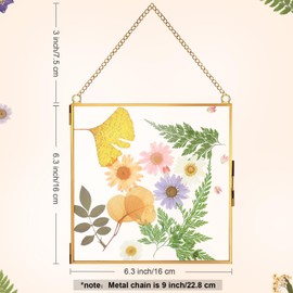 Treela Pressed Flowers Glass Frames 6 x 6 Inch, Hanging Double Glass Picture Frame Clear Square Floating Frames with Chains Graduation Wedding Gift for Dried Plant Specimen Gallery(Gold,6 Pieces)