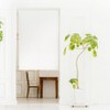 Noren Workshop 26823 Noren Plain, White, For Stores, Restaurants, Dividers,