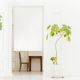 Noren Workshop 26823 Noren Plain, White, For Stores, Restaurants, Dividers, Blindfold, Width 33.5 x Length 47.2 inches (85 x 120 cm), Checkered Lace