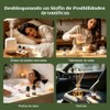Set de 20 Aceites Esenciales para Difusor, 10 ml Cada