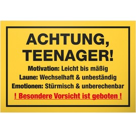 DankeDir! Teenager Motivation Sign 30 x 20 cm Gift Idea Boys & Girls Door Sign Teenager Room Saying Gift Idea Birthday Room Decoration Teenagers Door Decoration