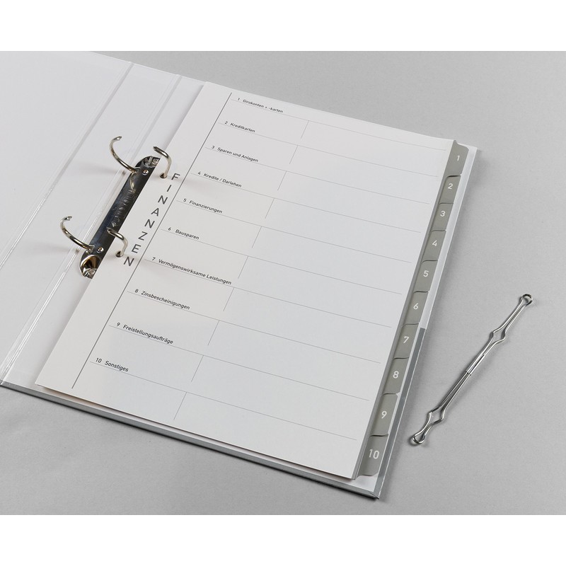 Theme Ring Binder with Tabs/Dividers - Finances - Optimal Structure