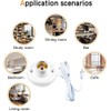 Light Bulb Socket with Cord,E26/ E27 Lamp Base Desktop