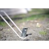 Nordisk sardine 119039 Stahl, V