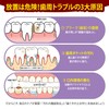 CAREDO Toothpaste Unique Waterless Formula for High Concentration of Gums,