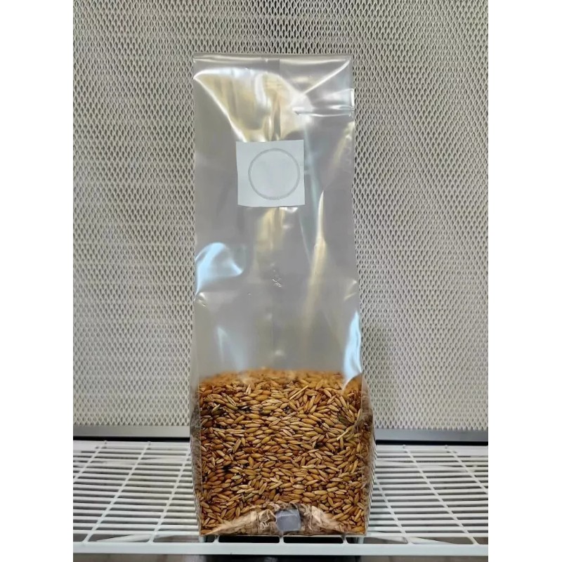 Black Magic Substrate Monotub Refill, 3lbs Exotic Substrate & 2lbs