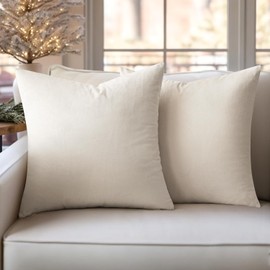 SLOZZI Set of 2 Velvet Cushion Covers, Household Decorative Cushion Cover, Soft Sofa Cushion for Sofa, Bedroom, Living Room, 50 x 50 cm, Cream White