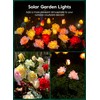 Brightown Outdoor Solar Garden Lights - 4 Pack LED Flower