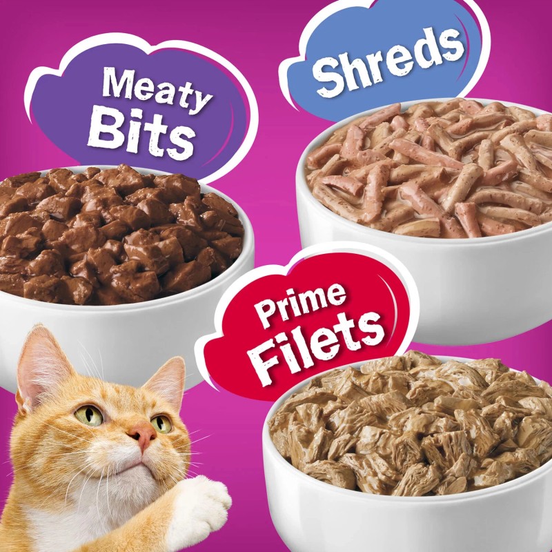 Purina Friskies Gravy Wet Cat Food, Variety Pack (5.5 oz.,