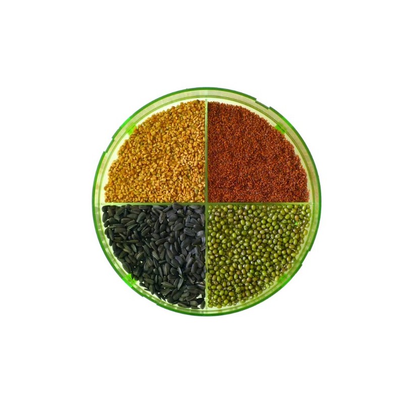 Geo TZZ0870 cultivation sets Geo Plus germination device, green