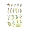 exceptionalbeauty 60 Stickers Washi Botanicals Leaves Sprigs Plants Scrapbooking Art