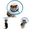 Pet Plastic Clear Cone Recovery E-Collar with Dots Design Soft