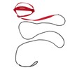 Bird Leash Bite Resistant Adjustable Parrot Flying Training Rope for