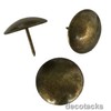 Decotacks® Large Antique Brass Finish Upholstery Nails/Tacks 1 Inch -