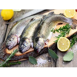 Klaassen Trout, Fresh Trout, Ready to Cook, Vacuumed, 500g (Pack of 2)
