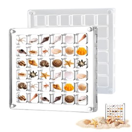 FHBHJNATC Shell collection box, shell box, seashell display box, suitable for miniature stone samples by the sea, square transparent storage box, mini shell storage frame