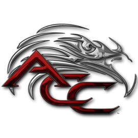 American Car Craft C6 Corvette Rear View Mirror Bezel Trim with Crossed Flags Logo