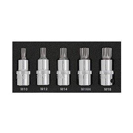 BlueSpot 5PCE 1/2" Spline Bit Set (M10-M18) (EVA Foam)