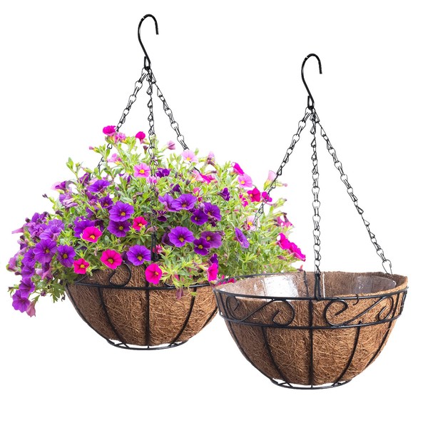 Royal Imports Metal Hanging Planter Flower Basket with Coco Coir Liners 10" Round Wire Outdoor Porch Balcony Garden Décor, Set of 2