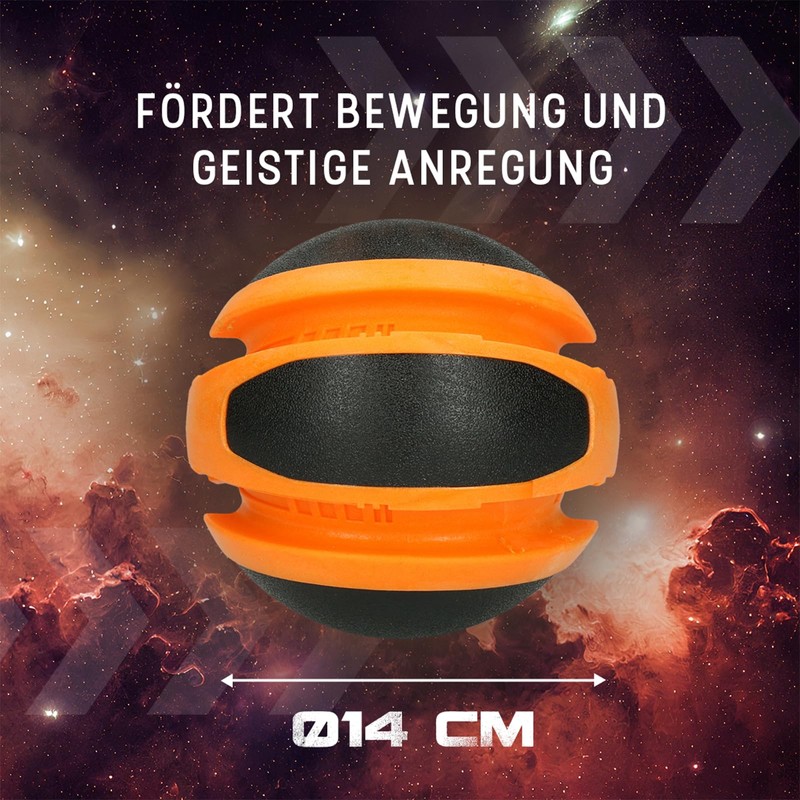 Zen-Kat Dog Comets Sun Oranje