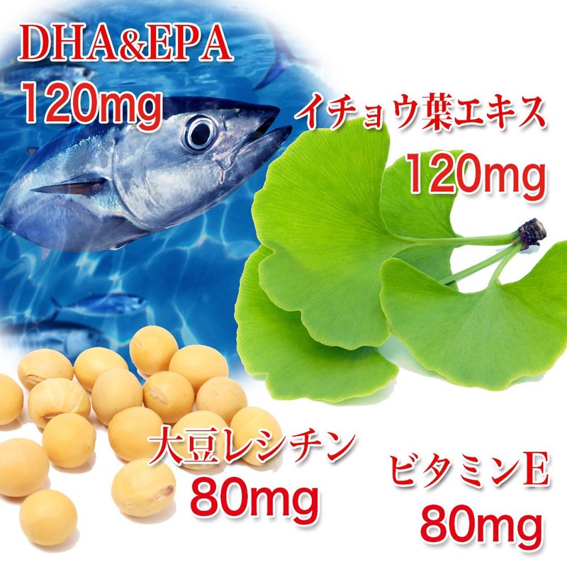 大日ヘルシーフーズ DHA EPA イチョウ葉 80粒入×6袋（8ヶ月分） 大豆レシチン ビタミンE 配合 サプリ