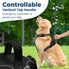 Dog Harness with Leash Set, 1.5m, Adjustable, No Pull, Reflective