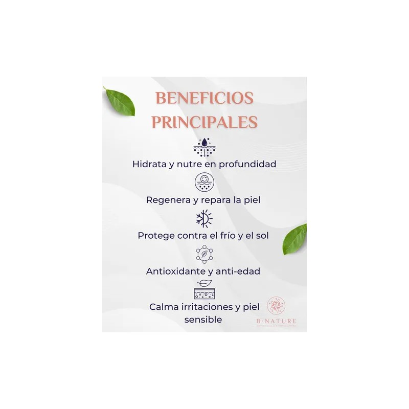 Manteca De Karité 250 Gramos Orgánica Pura Y Natural Bnature