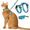 Cat Harness and Leash Set - Escape Proof Adjustable Cat