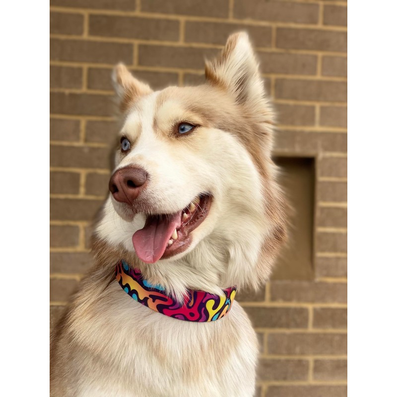 Dog Collar, Adjustable Dog Collar, Soft Collar with Release Buckle