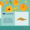 Vitaoleo Terramar Para Estrias, Manchas, Cicatrices, Acné