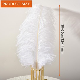 15pcs Natural Ostrich Feathers 12-14inch (30-35cm) for Wedding Party Centerpieces，Flower Arrangement and Home Decoration (White)