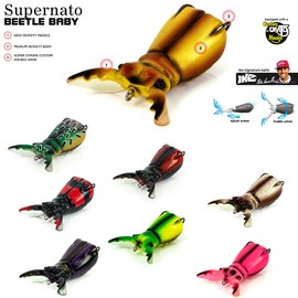 Molix Supernato Beetle Baby Colour Chart Beetle