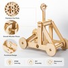 DIY Wooden STEM Science Model Kit – Hands-On Educational Assembly