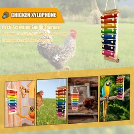 TARANDUS Chicken Xylophone Toy for Hens & Birds - Colorful Suspensible 8-Key Metal Xylophone | Suspensible Cage Accessories,Bird Cage Toy for Parrots, Parakeets, Budgies, Lovebirds, Chickens